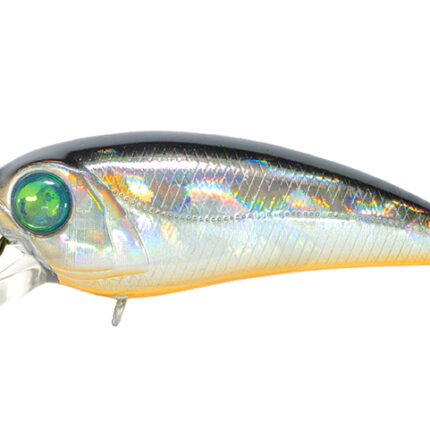 Pontoon21 AlterIdem 901 3.6cm 2g Suspending SR