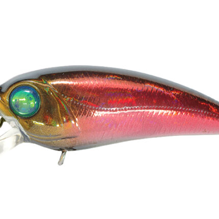 Pontoon21 AlterIdem 905 3.6cm 2g Suspending SR